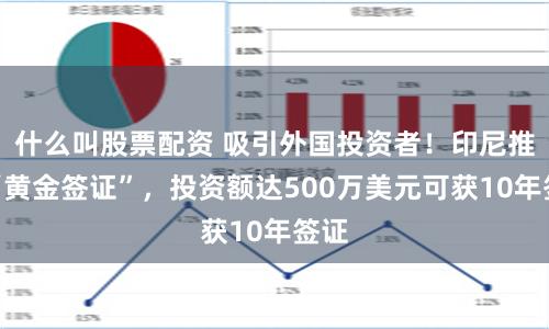 什么叫股票配资 吸引外国投资者！印尼推出“黄金签证”，投资额达500万美元可获10年签证