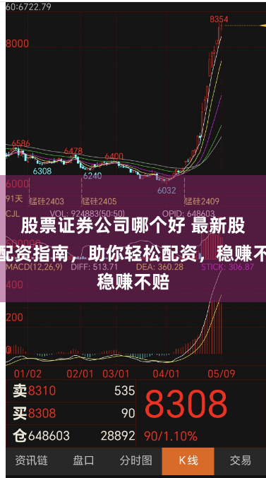 股票证券公司哪个好 最新股票配资指南，助你轻松配资，稳赚不赔