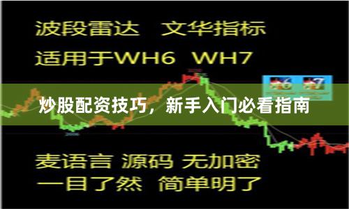 炒股配资技巧，新手入门必看指南